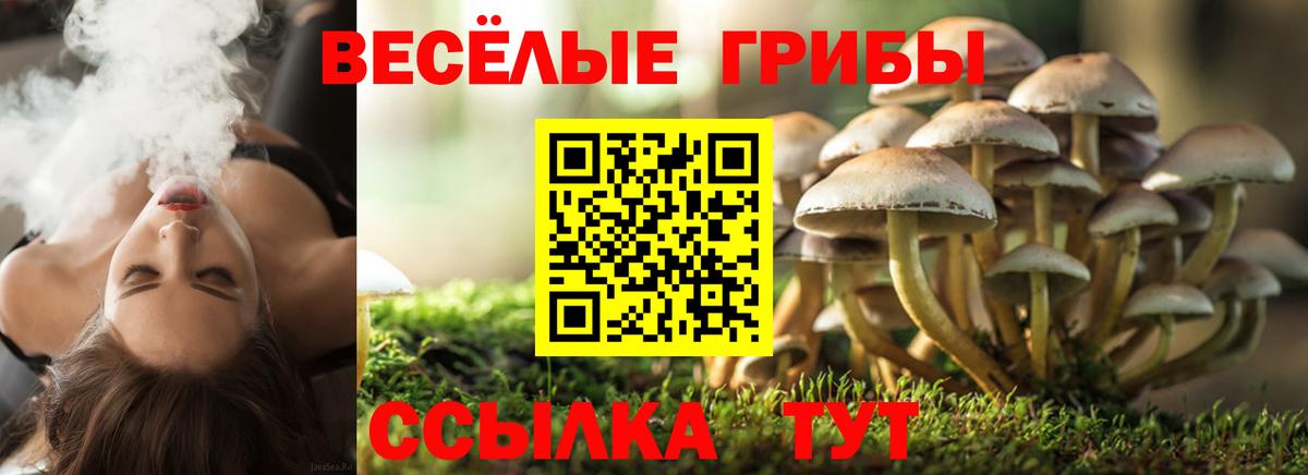 Псилоцибиновые грибы мицелий  Вход с VPN  Сосновоборск 